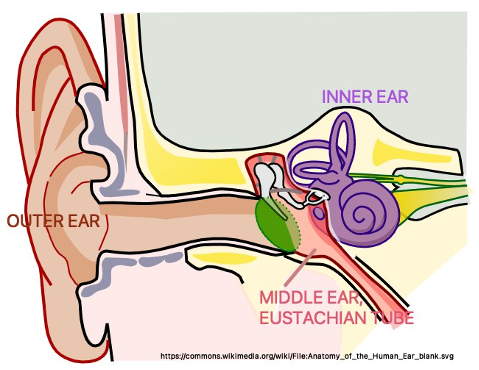 Airplanes and Stuffy Ears - aud to hear